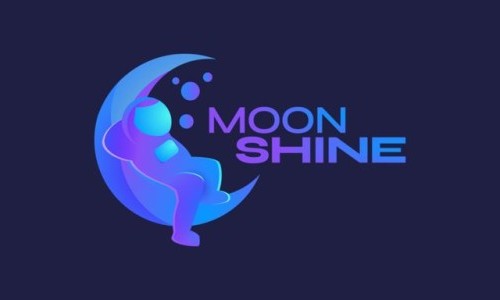 Пример настройки конфигурации Moonshine с сторонней авторизацией на примере пакета Spatie-Permission